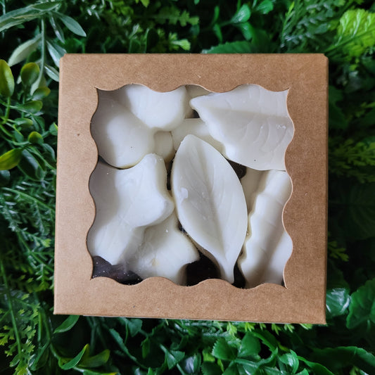 Beachwood Wax Melt Pack