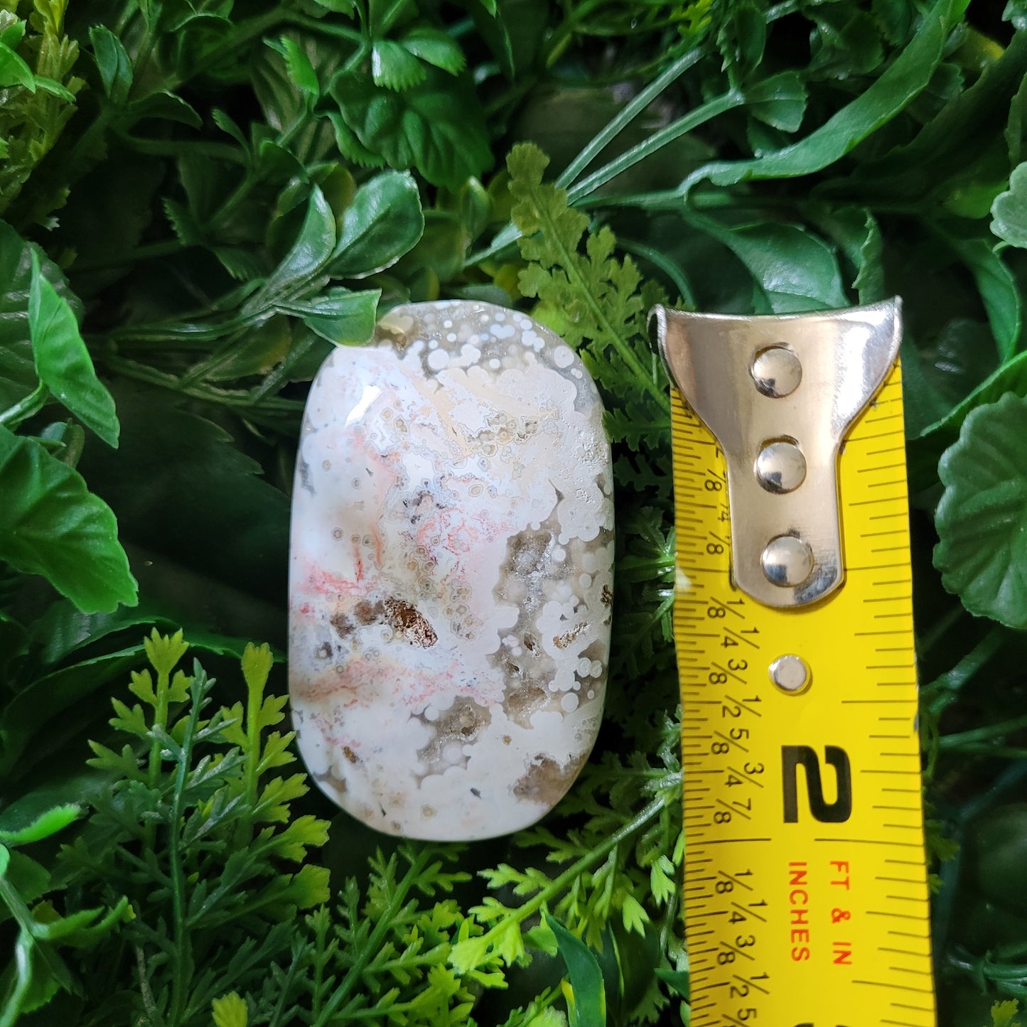 Ocean Jasper Palmstone