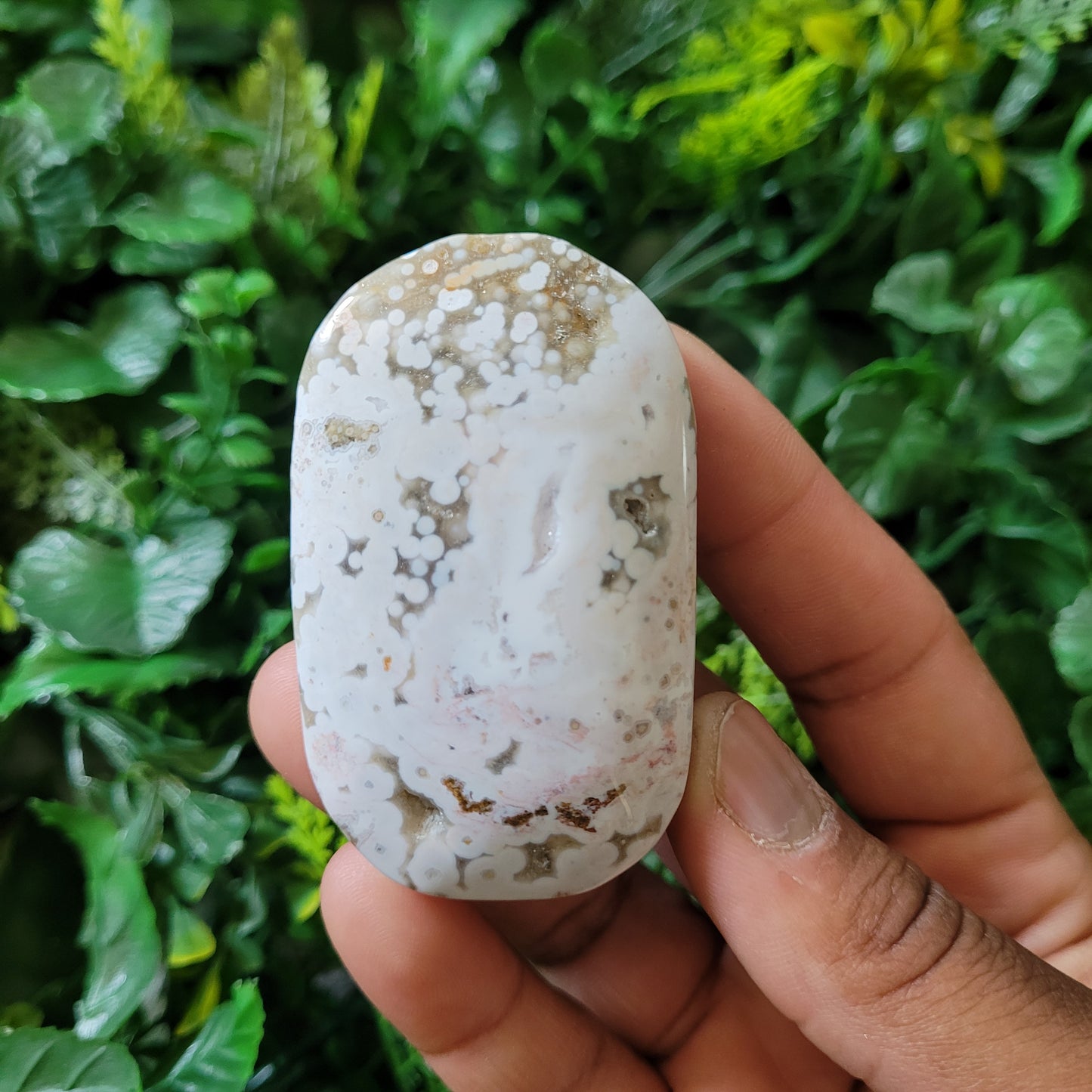 Ocean Jasper Palmstone