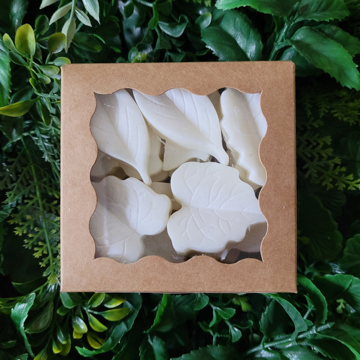 White Tea Wax Melt Pack