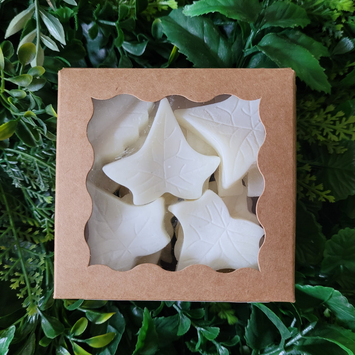 Honeysuckle Wax Melt Pack