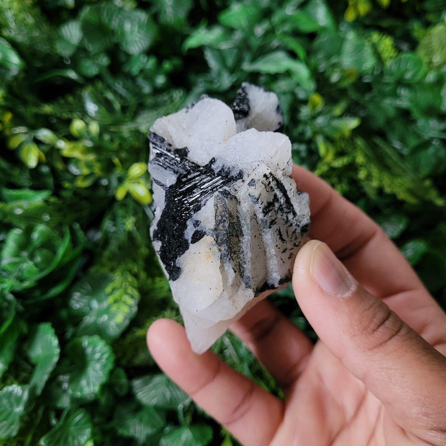 Tourmaline Quartz Chunk