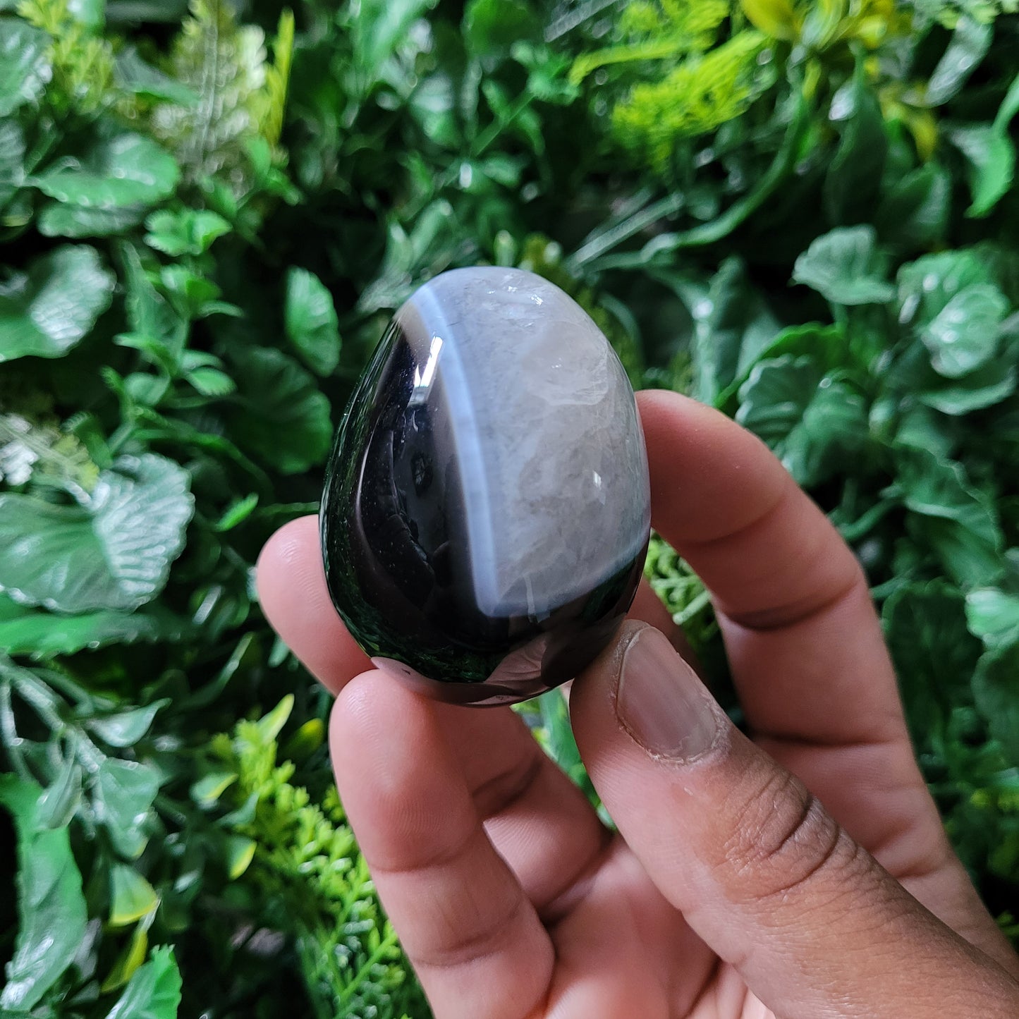 Black Onyx Egg