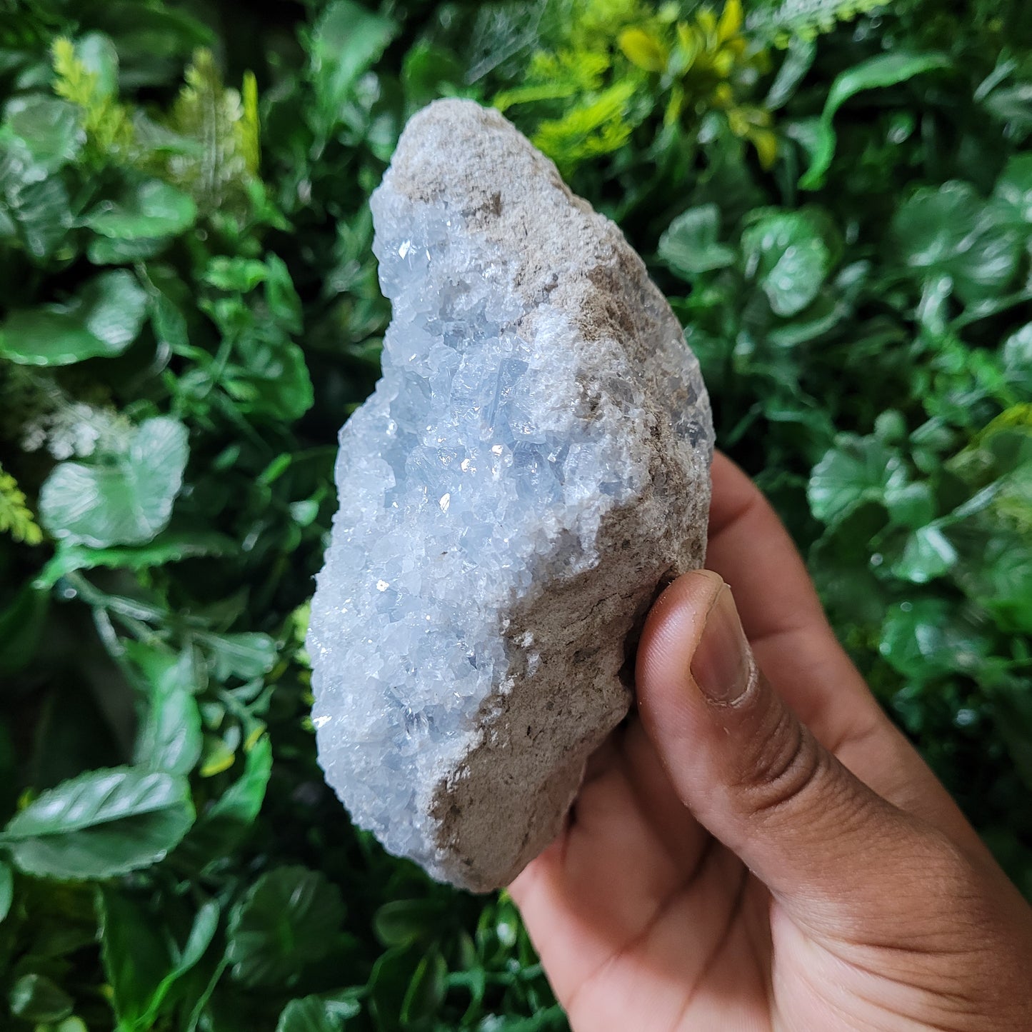 Celestite Cluster