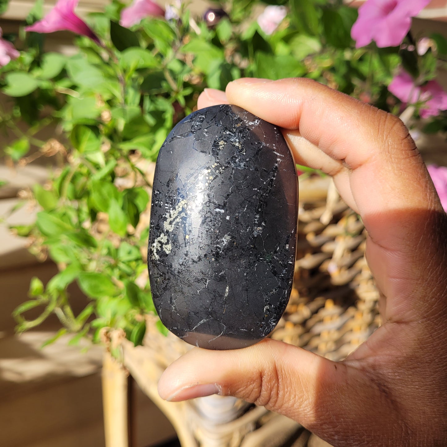 Shungite Palmstone