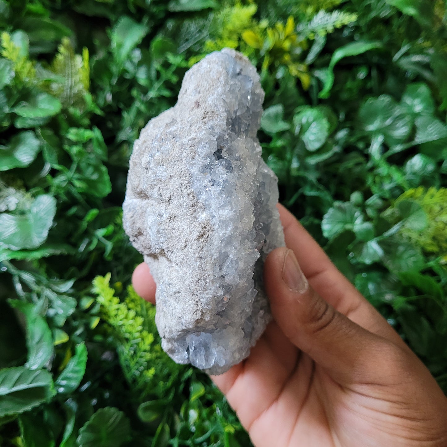 Celestite Cluster