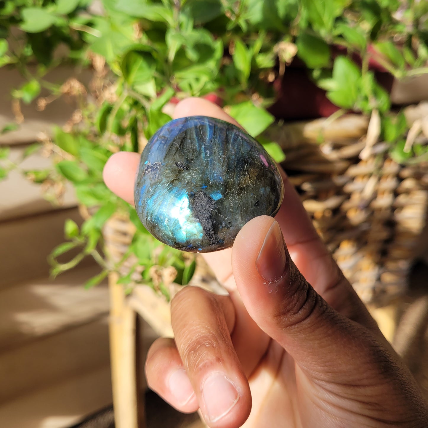 Labradorite Palmstone