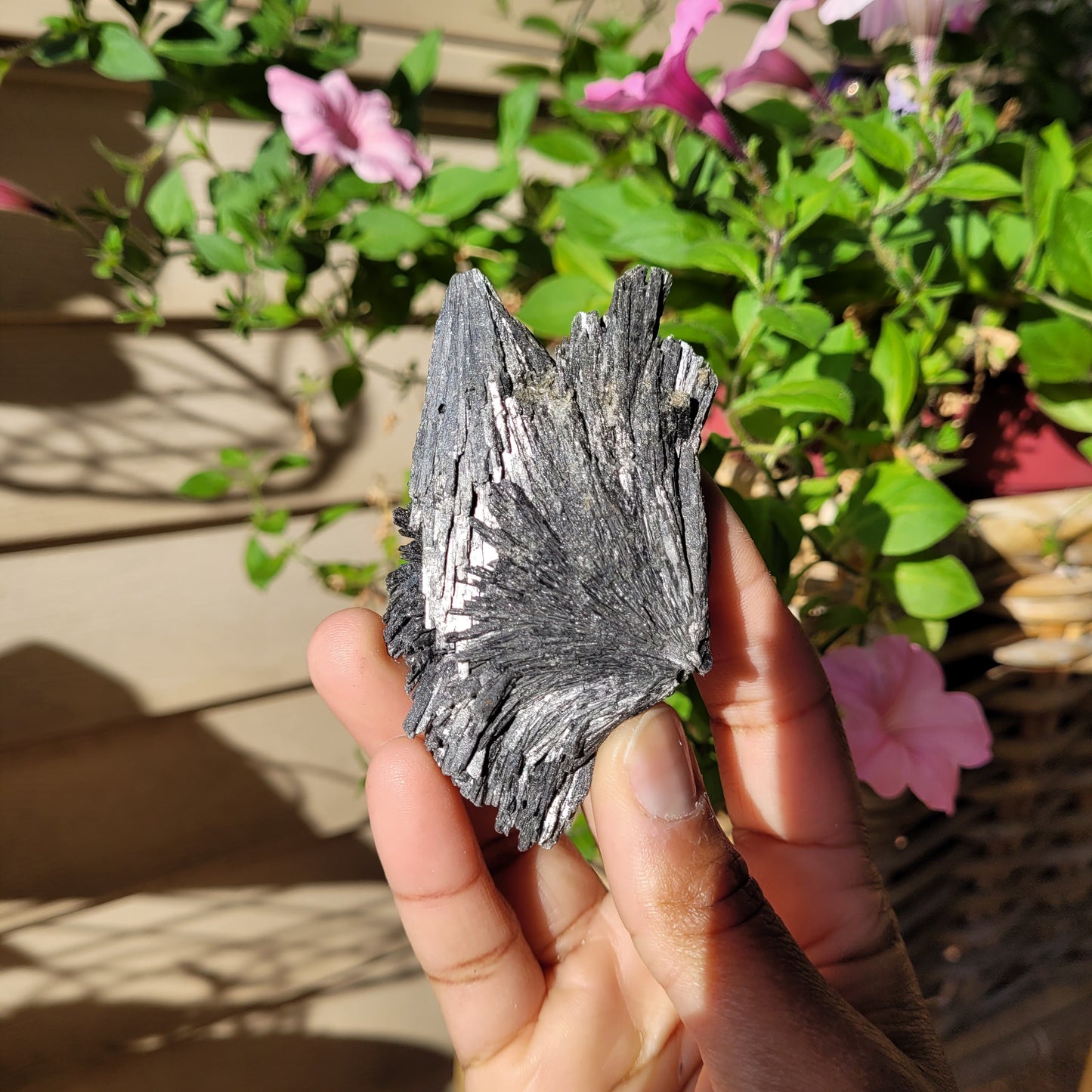 Black Kyanite Crystal Fan