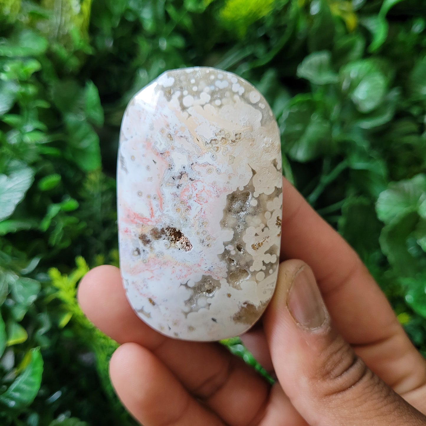 Ocean Jasper Palmstone