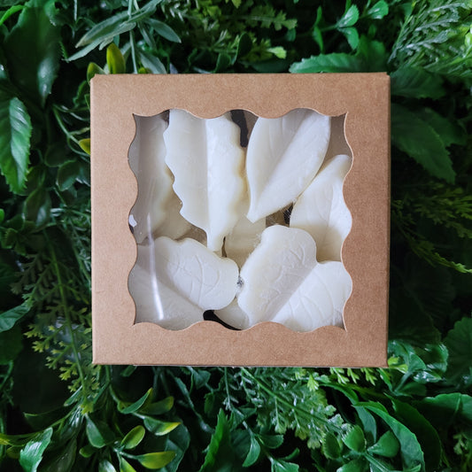 Dragons Blood Wax Melt Pack