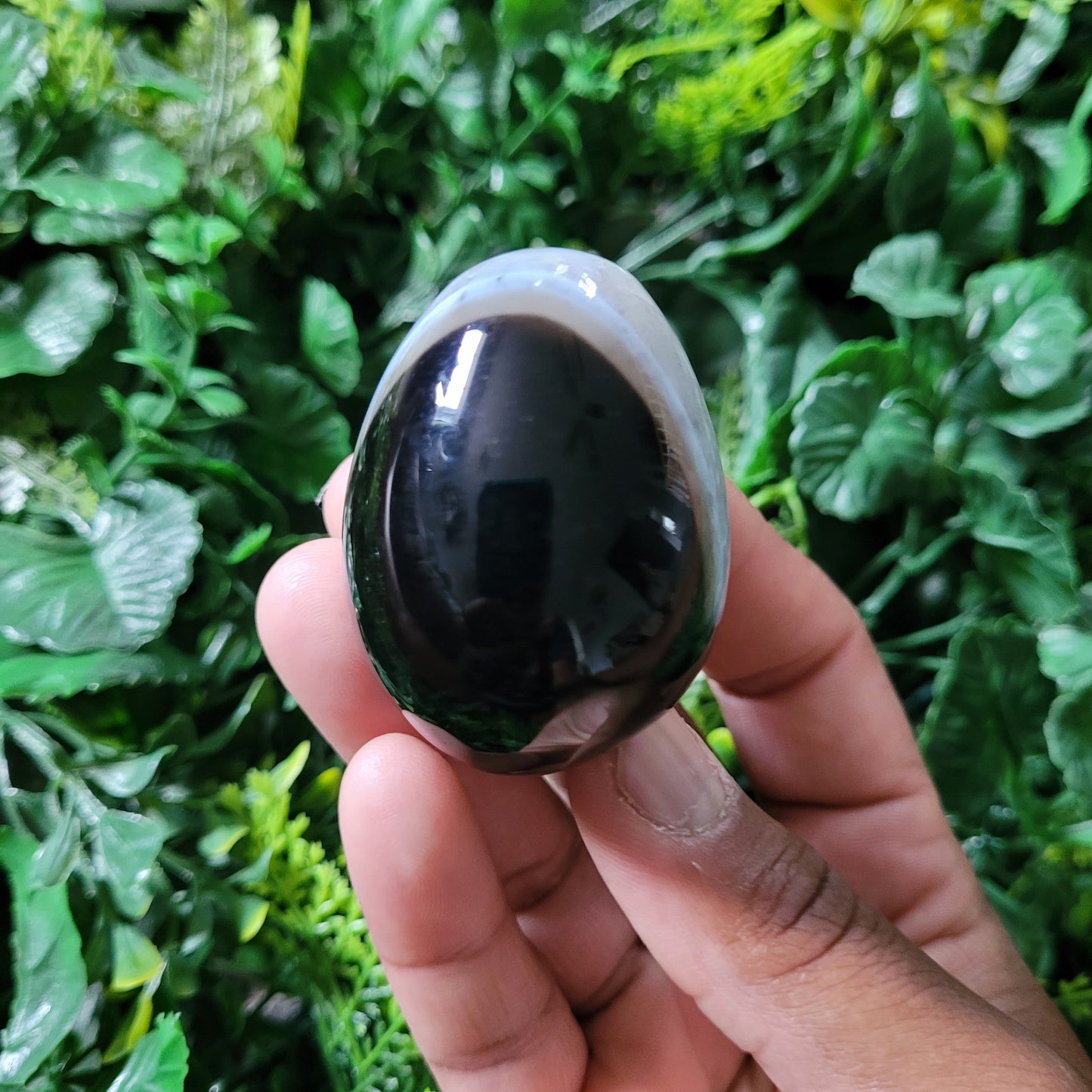 Black Onyx Egg