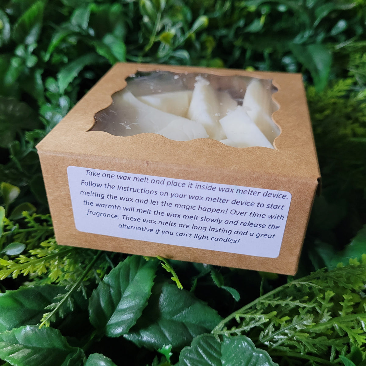 Grapefruit Wax Melt Pack