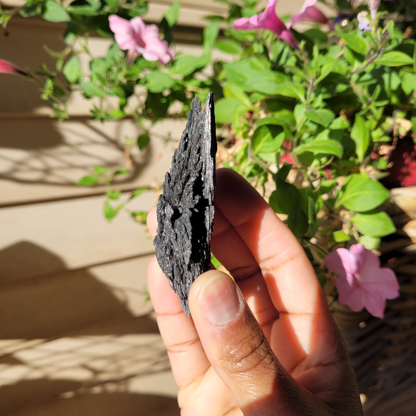 Black Kyanite Crystal Fan