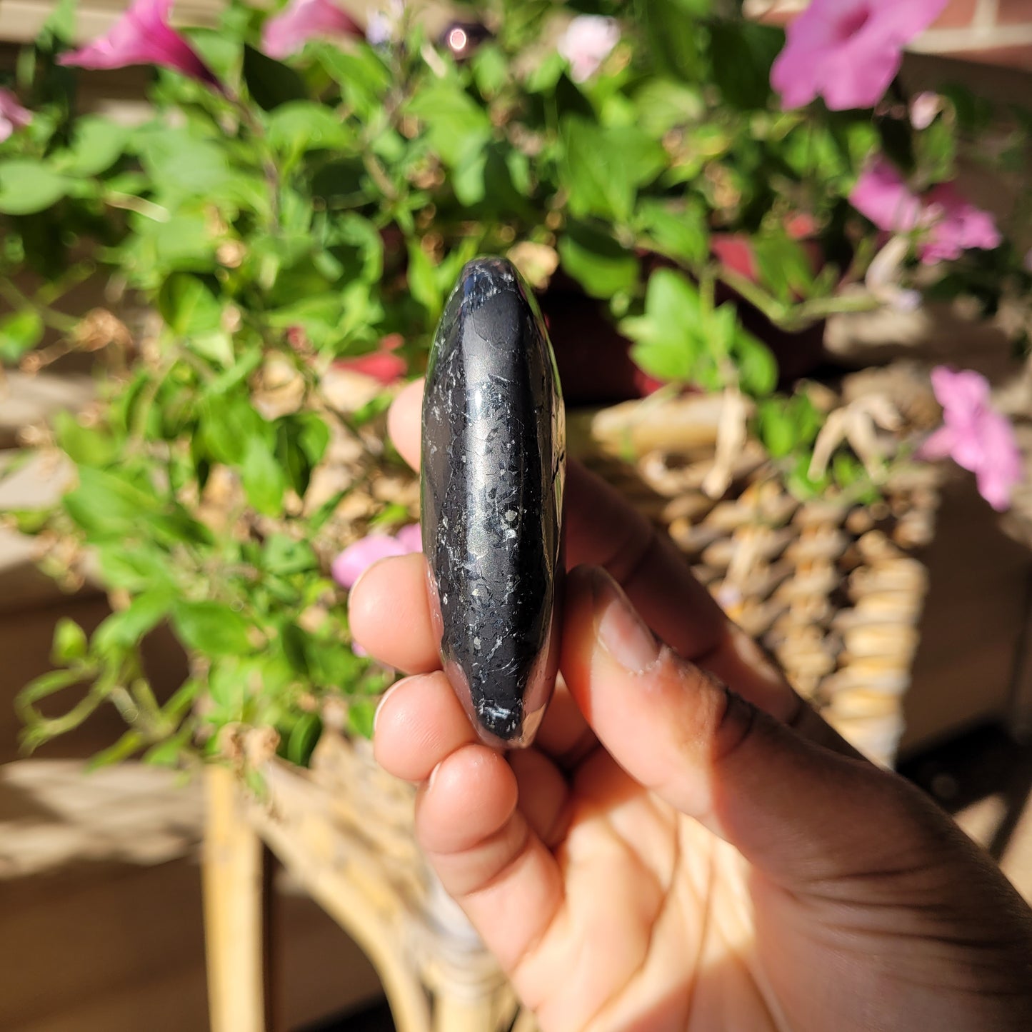 Shungite Palmstone