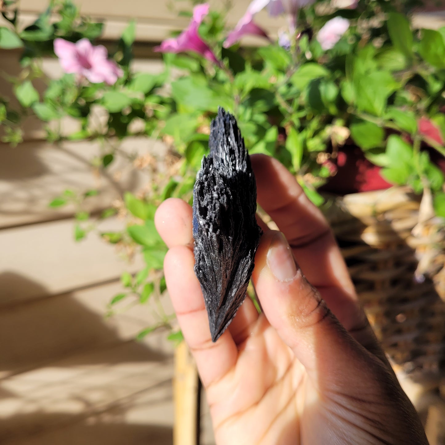 Black Kyanite Crystal Fan