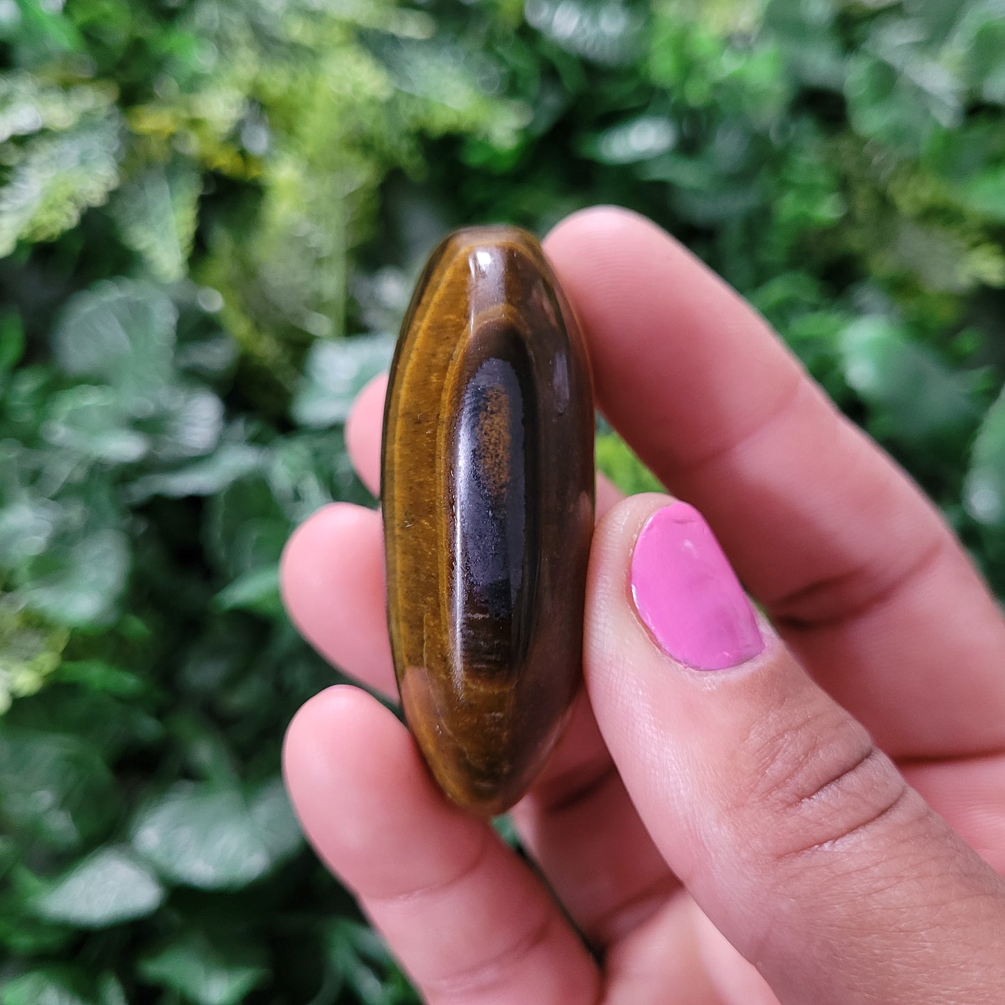 Tigers Eye Palmstone