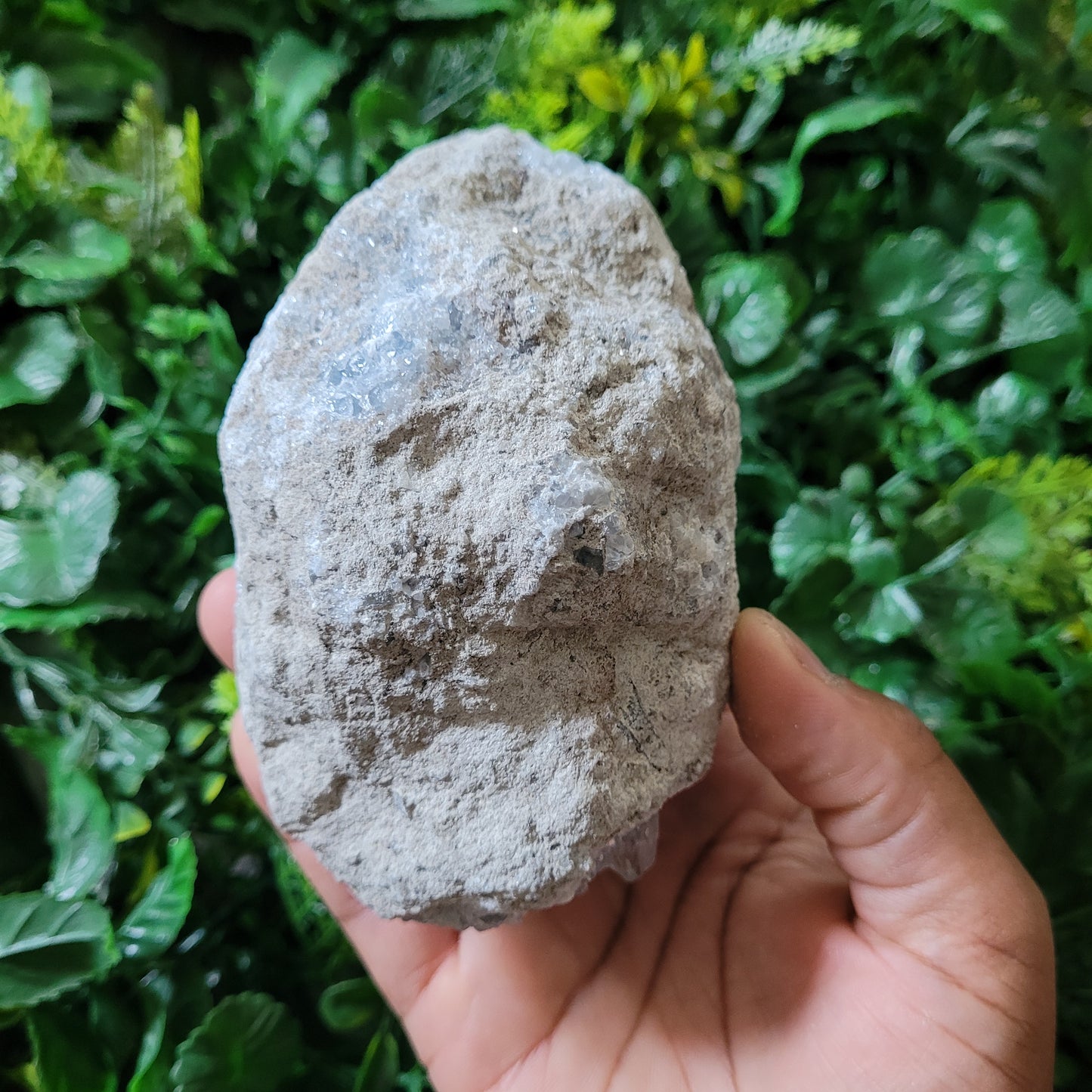 Celestite Cluster