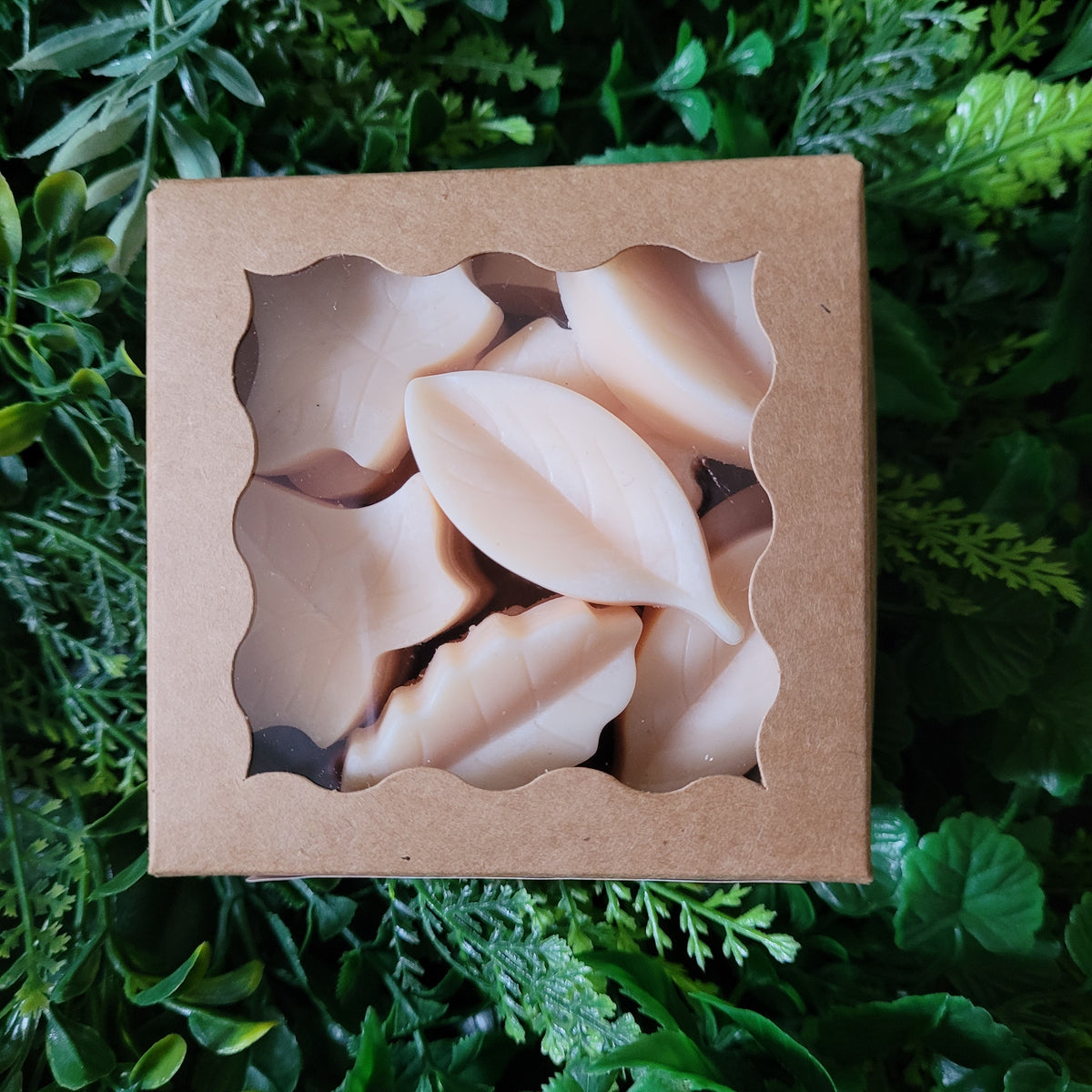 Jasmine Neroli Wax Melt Pack
