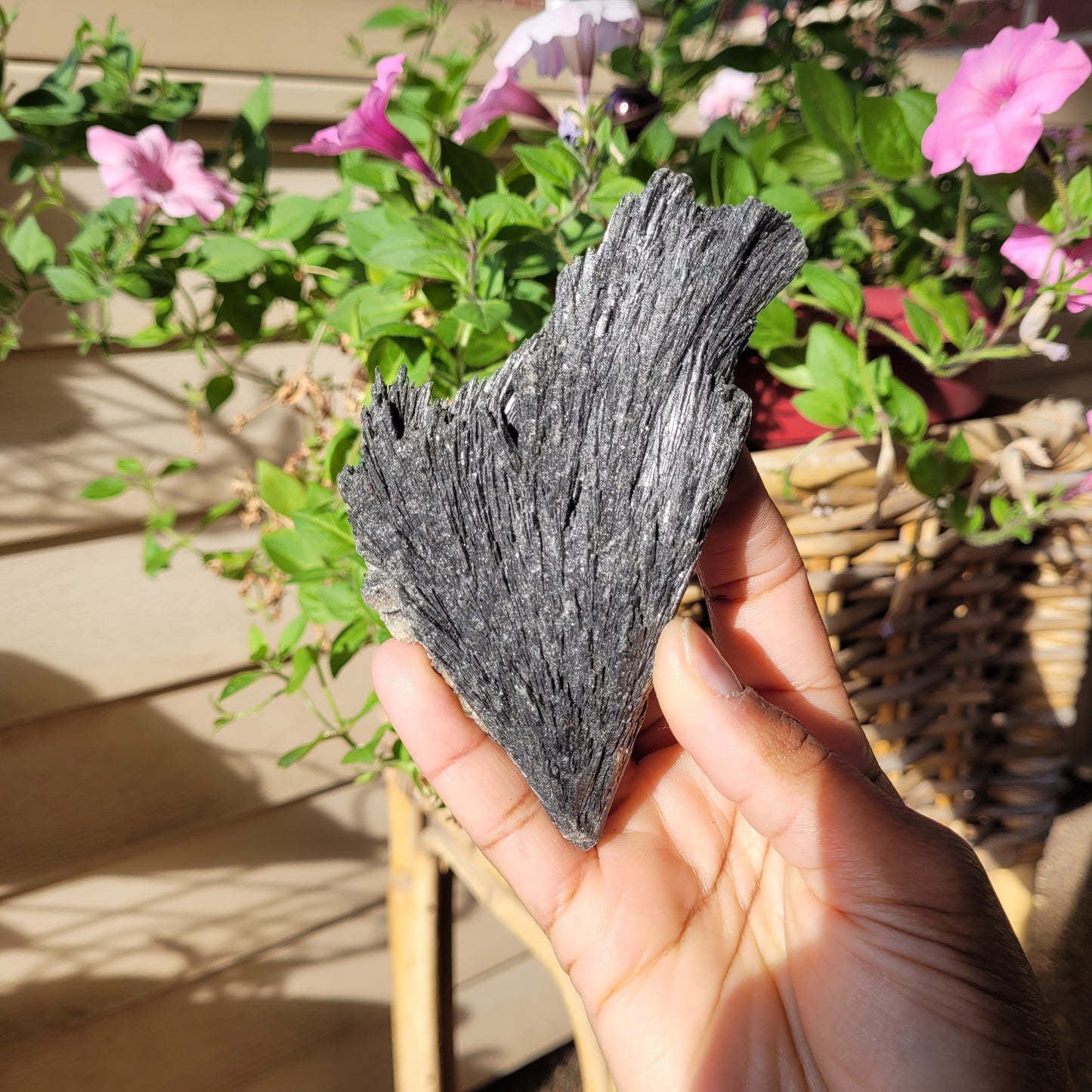 Black Kyanite Crystal Fan