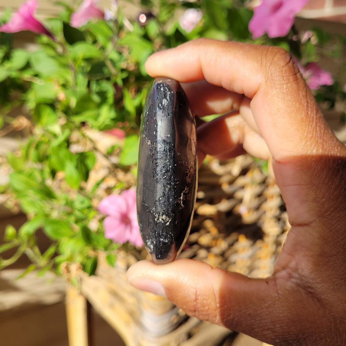 Shungite Palmstone