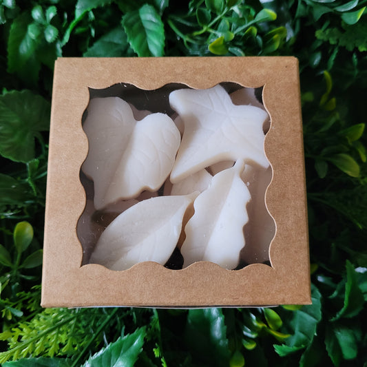 Strawberry Guava Wax Melt Pack