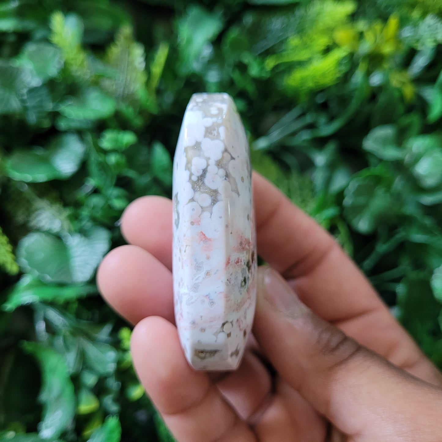 Ocean Jasper Palmstone