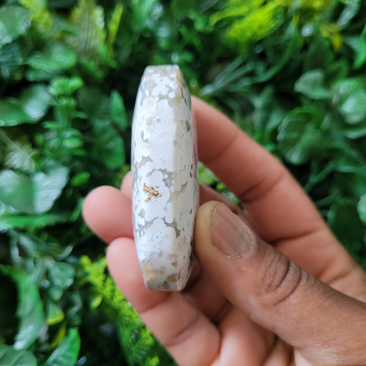 Ocean Jasper Palmstone