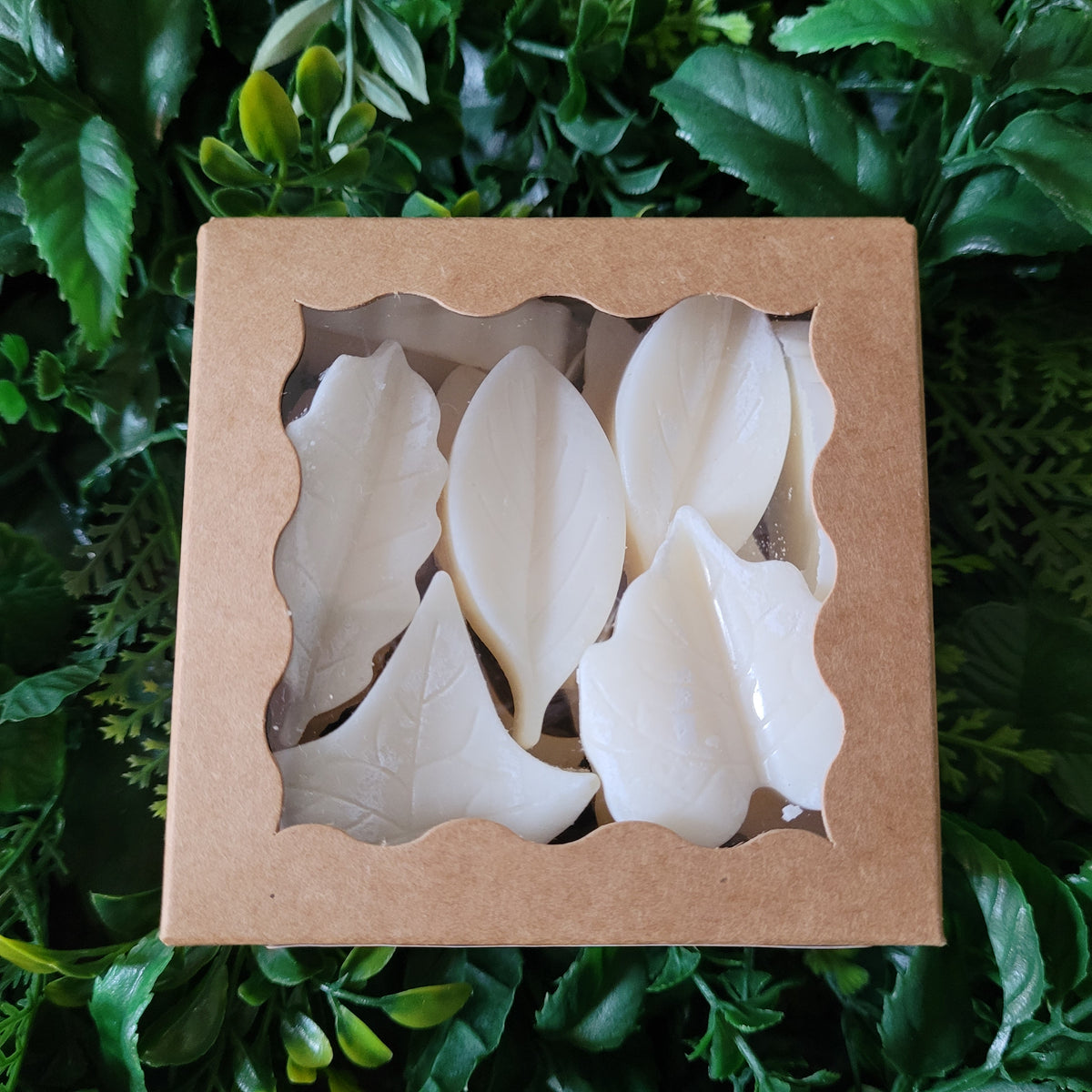 Petrichor Wax Melt Pack