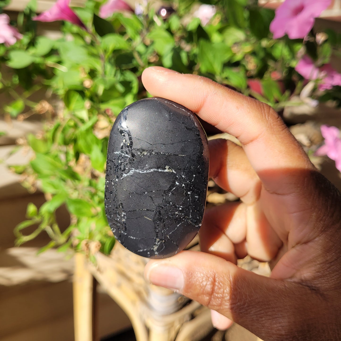 Shungite Palmstone