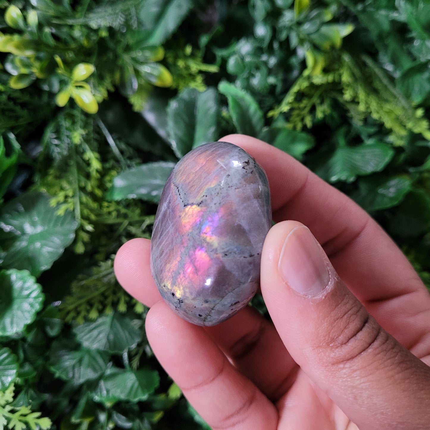 Labradorite Spectrolite Palmstone