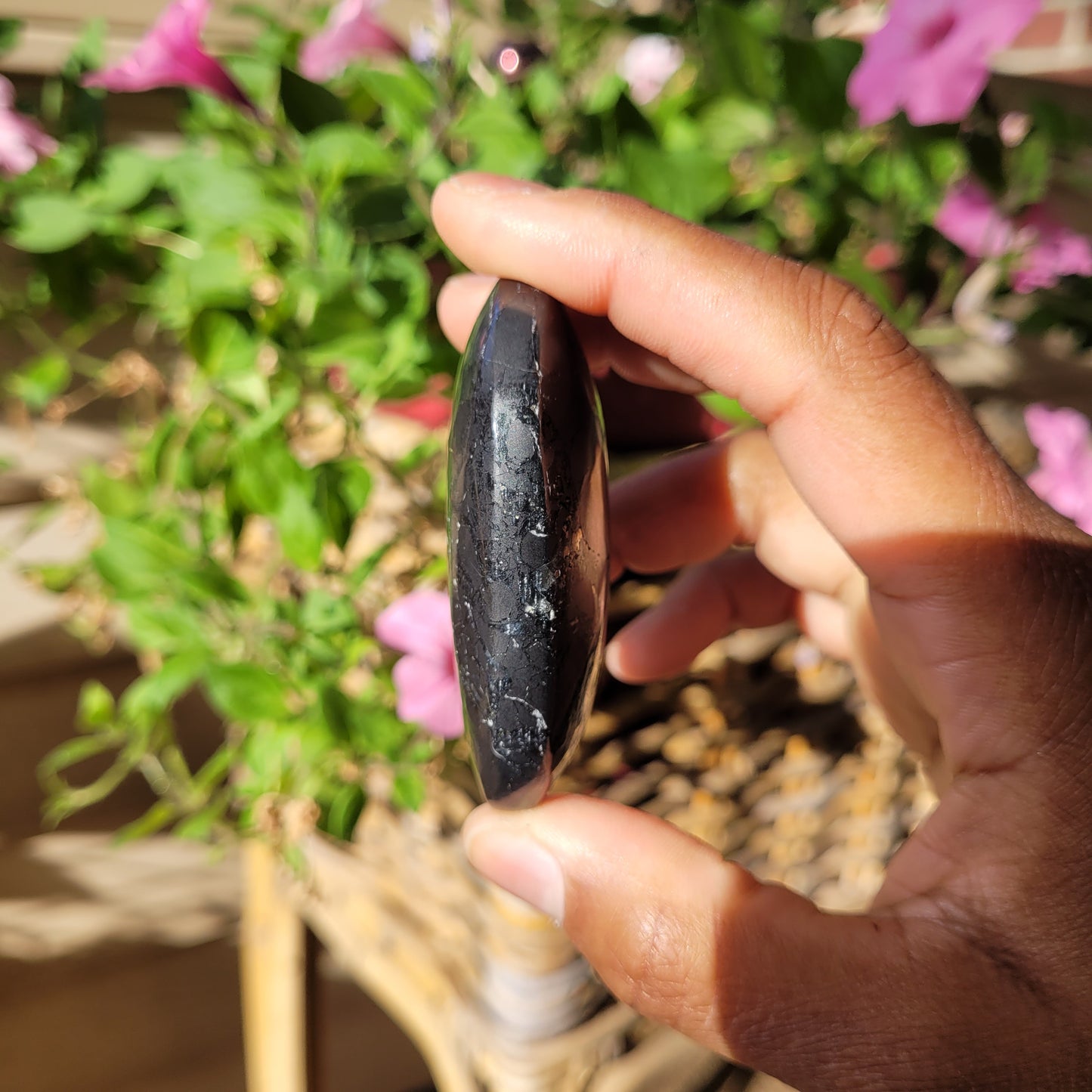 Shungite Palmstone