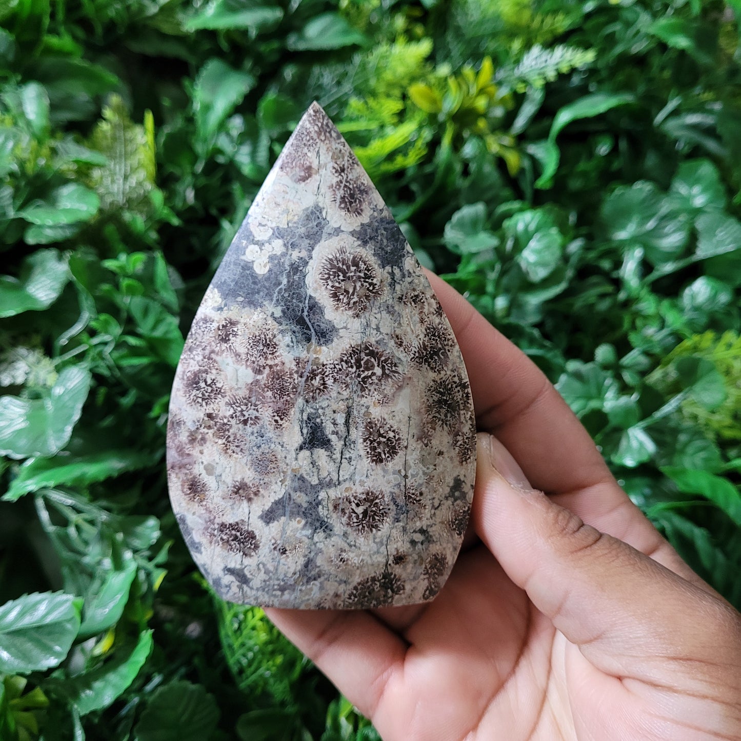 Green Flower Jasper Freeform