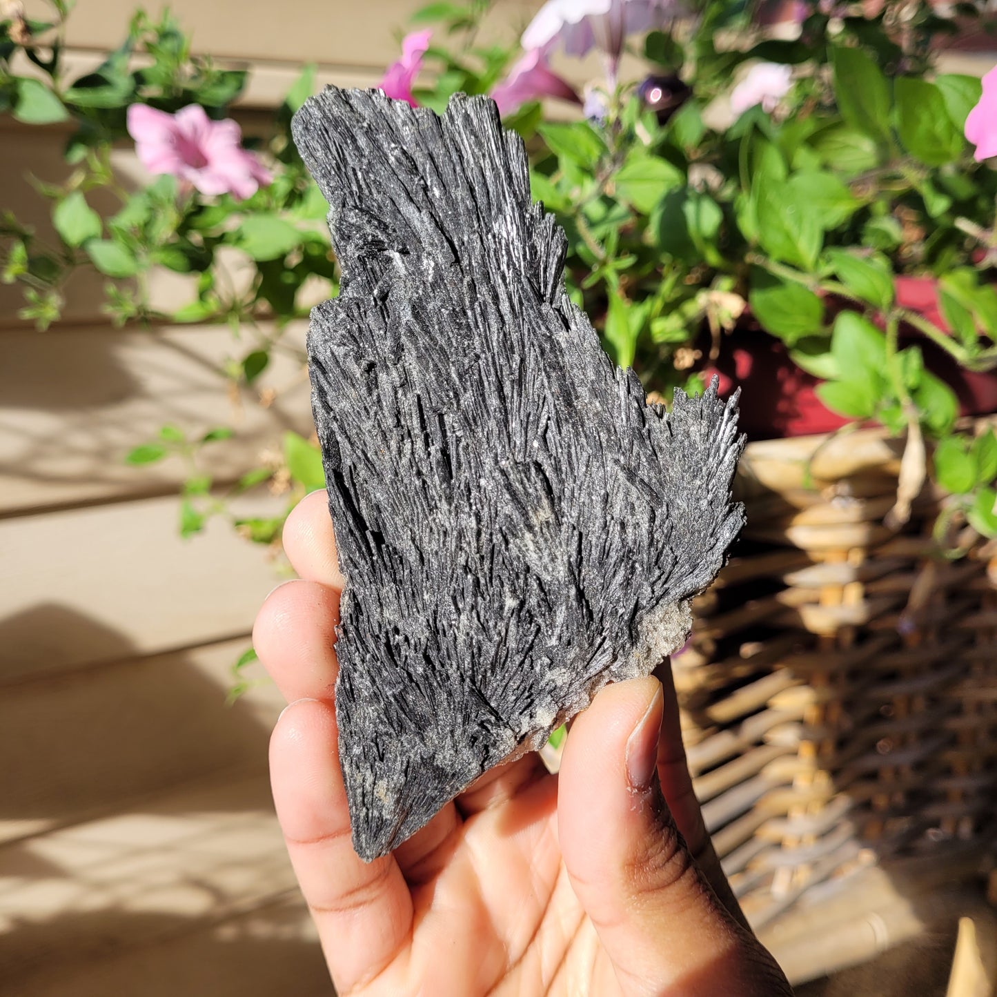 Black Kyanite Crystal Fan