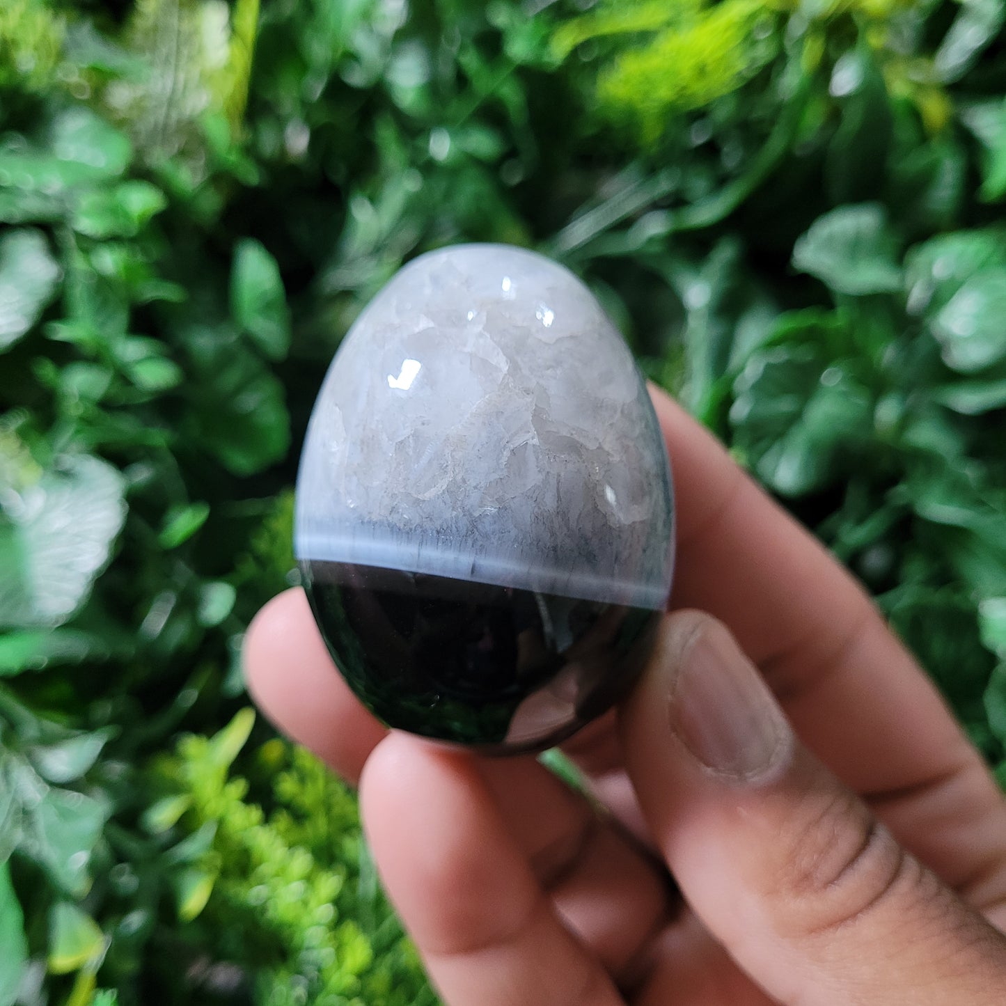 Black Onyx Egg