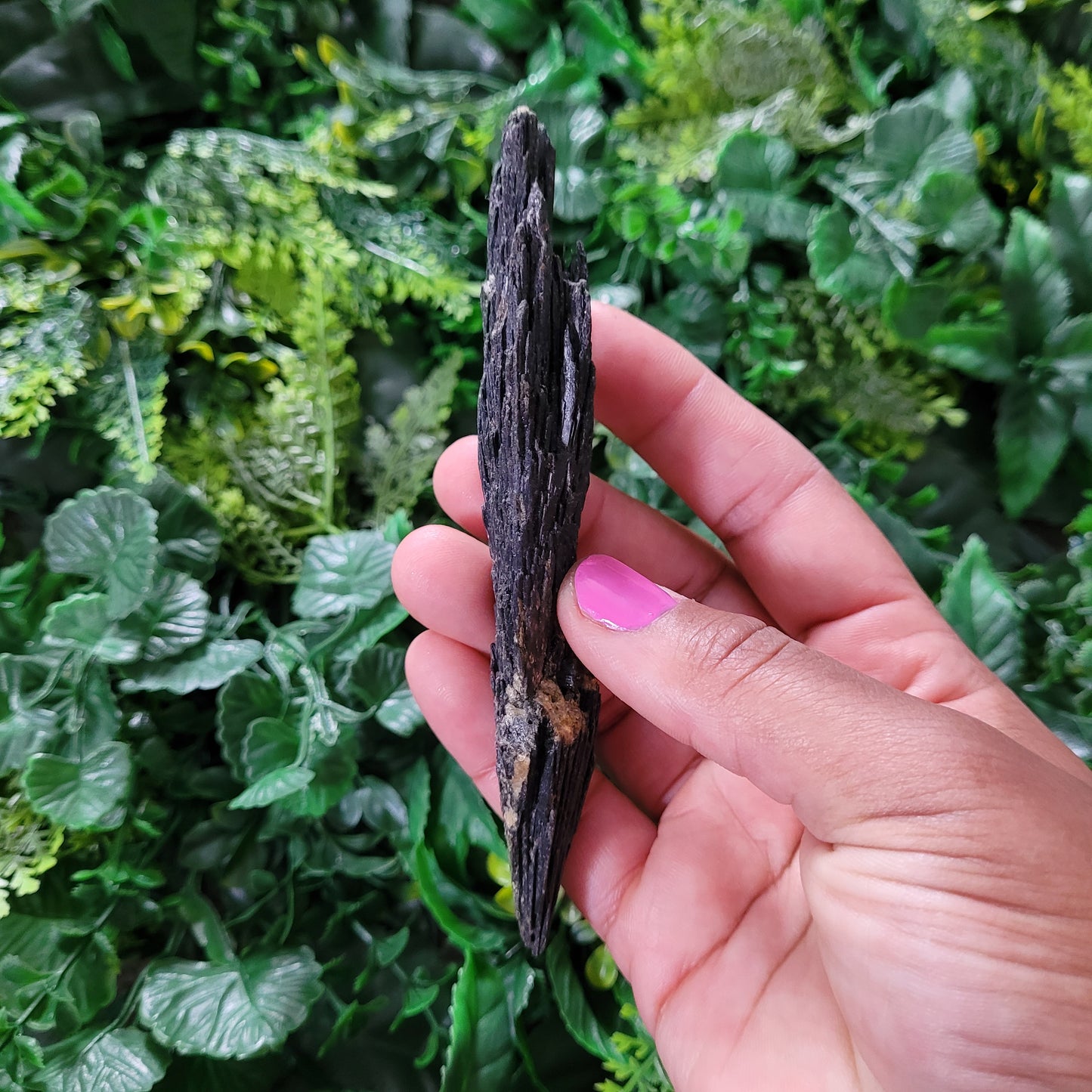 Black Kyanite Crystal Fan