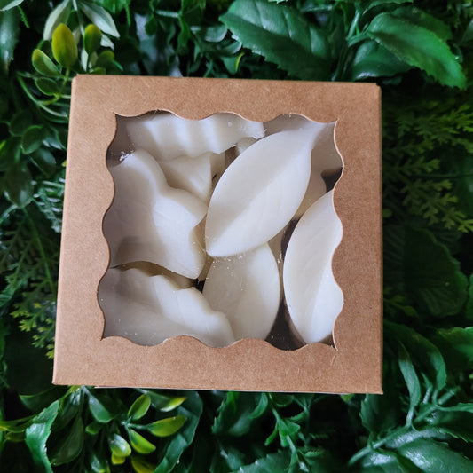 Matcha Tea Wax Melt Pack