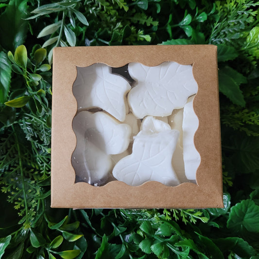 Sandalwood Wax Melt Pack