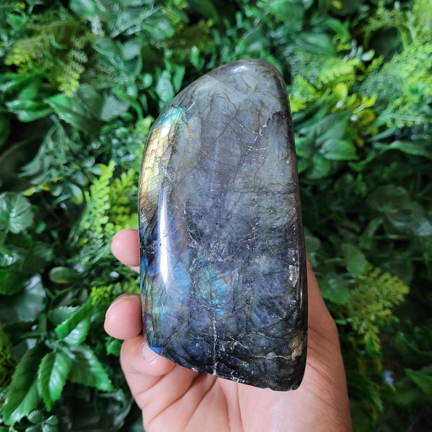 Labradorite Freeform